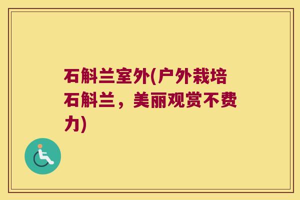 石斛兰室外(户外栽培石斛兰，美丽观赏不费力)