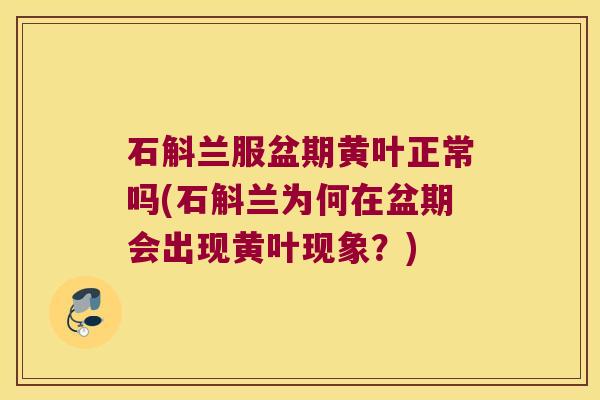 石斛兰服盆期黄叶正常吗(石斛兰为何在盆期会出现黄叶现象？)