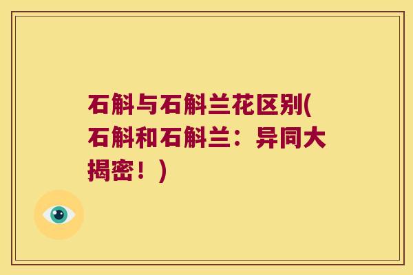 石斛与石斛兰花区别(石斛和石斛兰：异同大揭密！)