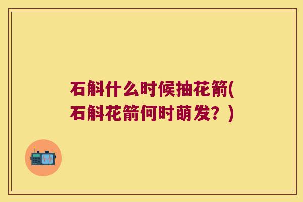 石斛什么时候抽花箭(石斛花箭何时萌发？)