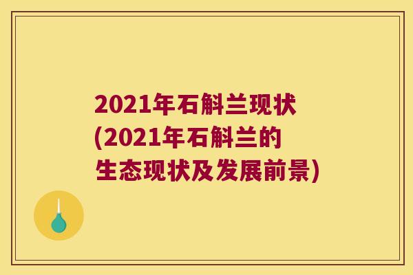2021年石斛兰现状(2021年石斛兰的生态现状及发展前景) 2021年石斛兰现状(2021年石斛兰的生态现状及发展前景)