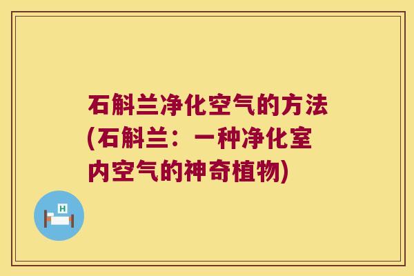 石斛兰净化空气的方法(石斛兰：一种净化室内空气的神奇植物)