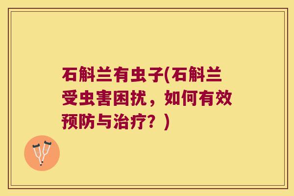 石斛兰有虫子(石斛兰受虫害困扰，如何有效与？)