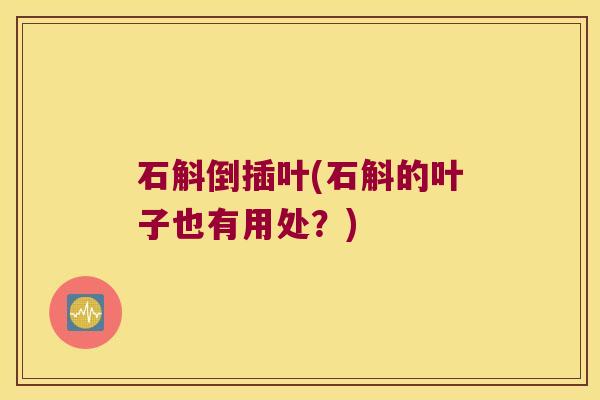 石斛倒插叶(石斛的叶子也有用处?) 石斛倒插叶(石斛的叶子也有用处?)