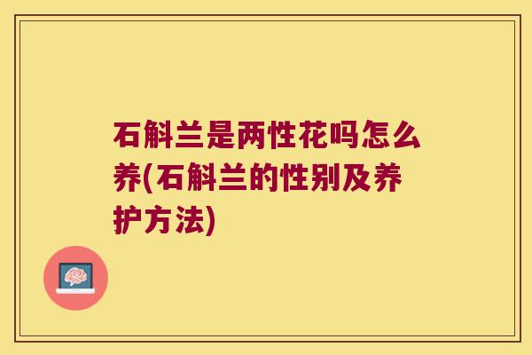 石斛兰是两性花吗怎么养(石斛兰的性别及养护方法)
