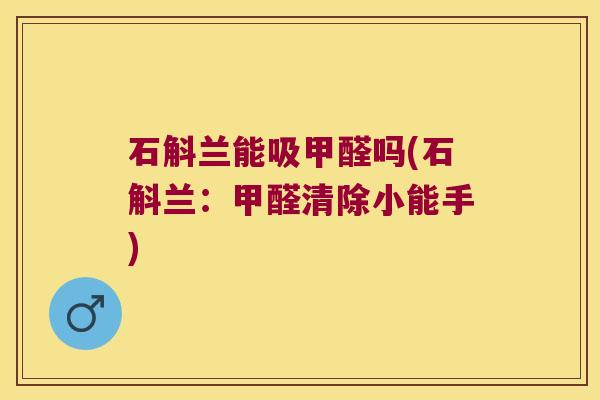 石斛兰能吸甲醛吗(石斛兰：甲醛清除小能手)