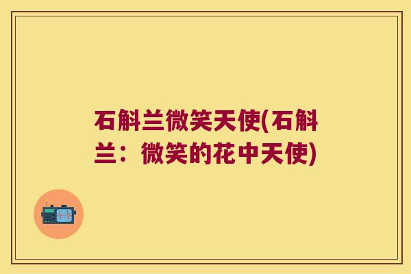 石斛兰微笑天使(石斛兰：微笑的花中天使)