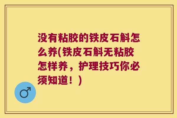 没有粘胶的铁皮石斛怎么养(铁皮石斛无粘胶怎样养，护理技巧你必须知道！)