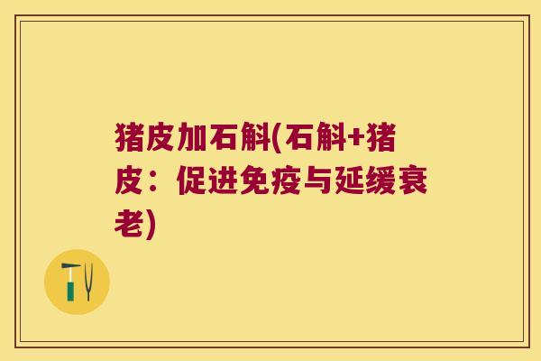 猪皮加石斛(石斛+猪皮：促进免疫与延缓衰老)