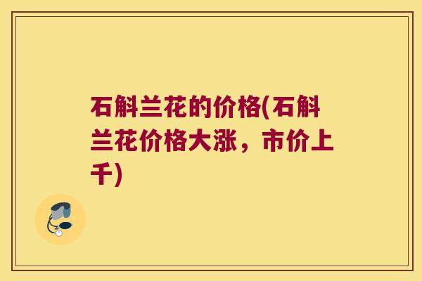 石斛兰花的价格(石斛兰花价格大涨，市价上千)