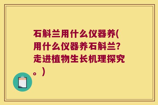 石斛兰用什么仪器养(用什么仪器养石斛兰？走进植物生长机理探究。)