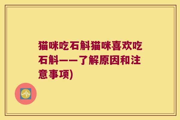 猫咪吃石斛猫咪喜欢吃石斛——了解原因和注意事项)