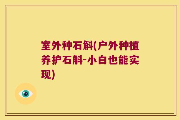 室外种石斛(户外种植养护石斛-小白也能实现)