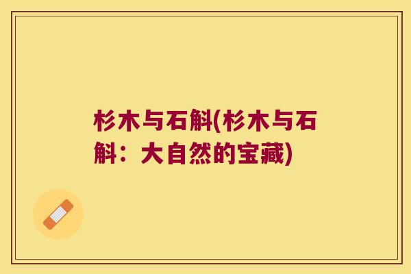 杉木与石斛(杉木与石斛：大自然的宝藏)