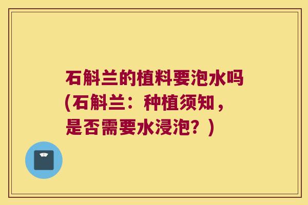 石斛兰的植料要泡水吗(石斛兰：种植须知，是否需要水浸泡？)