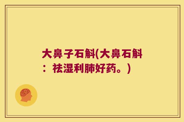 大鼻子石斛(大鼻石斛：祛湿利肺好药。)