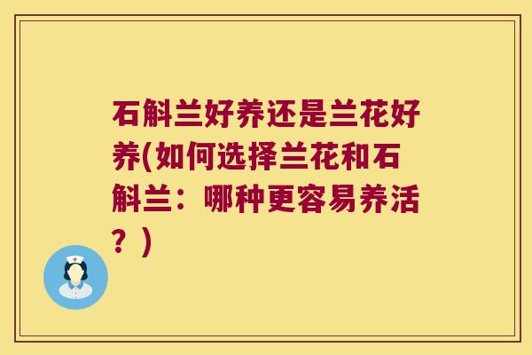 石斛兰好养还是兰花好养(如何选择兰花和石斛兰：哪种更容易养活？)