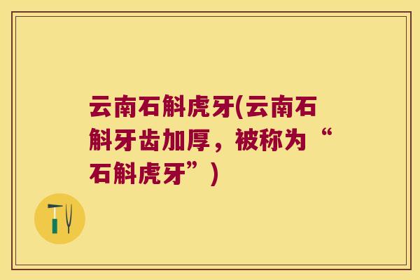 云南石斛虎牙(云南石斛牙齿加厚，被称为“石斛虎牙”)