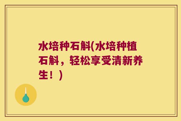 水培种石斛(水培种植石斛，轻松享受清新养生！)