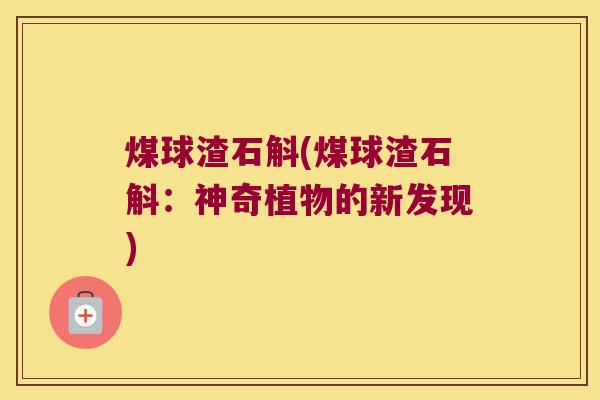 煤球渣石斛(煤球渣石斛：神奇植物的新发现)