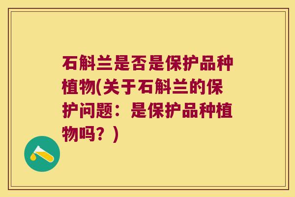 石斛兰是否是保护品种植物(关于石斛兰的保护问题：是保护品种植物吗？)