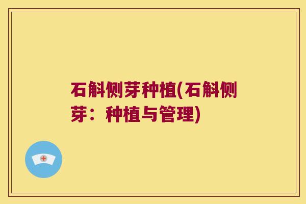 石斛侧芽种植(石斛侧芽：种植与管理)