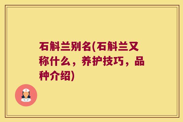 石斛兰别名(石斛兰又称什么，养护技巧，品种介绍)