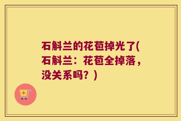 石斛兰的花苞掉光了(石斛兰:花苞全掉落,没关系吗?) 石斛兰的花苞掉光了(石斛兰:花苞全掉落,没关系吗?)