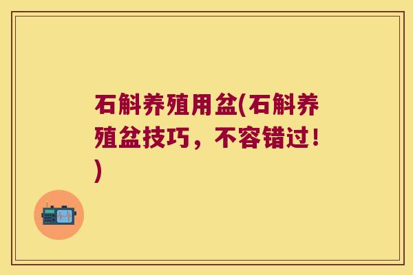 石斛养殖用盆(石斛养殖盆技巧，不容错过！)