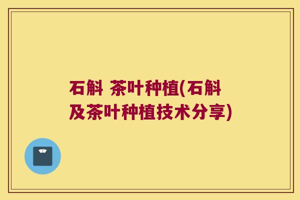 石斛 茶叶种植(石斛及茶叶种植技术分享)