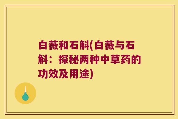 白薇和石斛(白薇与石斛：探秘两种中草药的功效及用途)