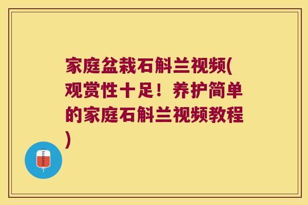 家庭盆栽石斛兰视频(观赏性十足！养护简单的家庭石斛兰视频教程)