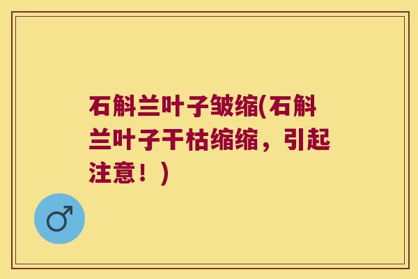 石斛兰叶子皱缩(石斛兰叶子干枯缩缩，引起注意！)