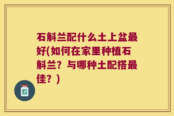 石斛兰配什么土上盆最好(如何在家里种植石斛兰？与哪种土配搭最佳？)