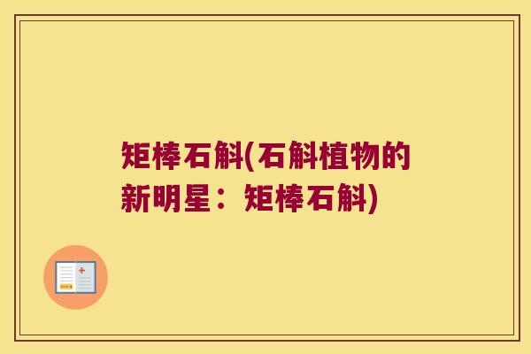 矩棒石斛(石斛植物的新明星：矩棒石斛)