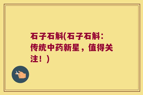 石子石斛(石子石斛：传统新星，值得关注！)