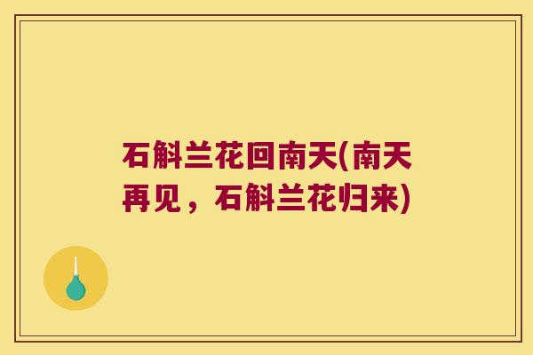 石斛兰花回南天(南天再见，石斛兰花归来)