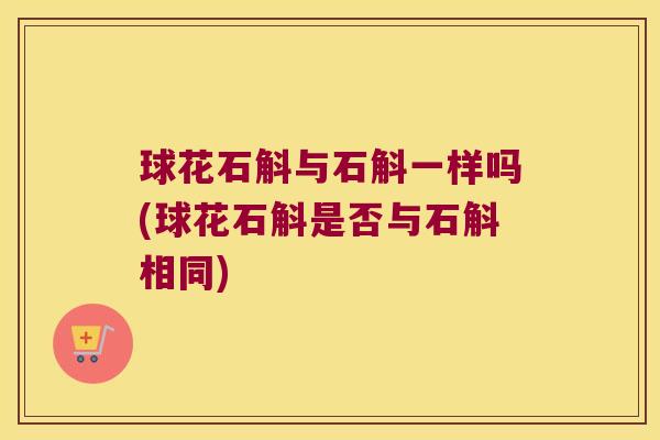 球花石斛与石斛一样吗(球花石斛是否与石斛相同)