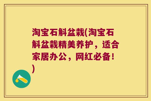 淘宝石斛盆栽(淘宝石斛盆栽精美养护，适合家居办公，网红必备！)