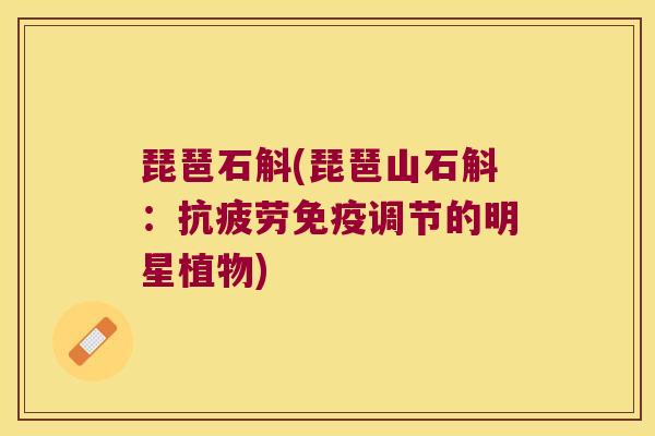 琵琶石斛(琵琶山石斛：抗疲劳免疫调节的明星植物)