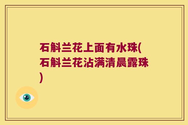 石斛兰花上面有水珠(石斛兰花沾满清晨露珠)