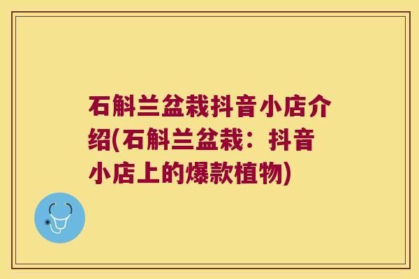 石斛兰盆栽抖音小店介绍(石斛兰盆栽：抖音小店上的爆款植物)