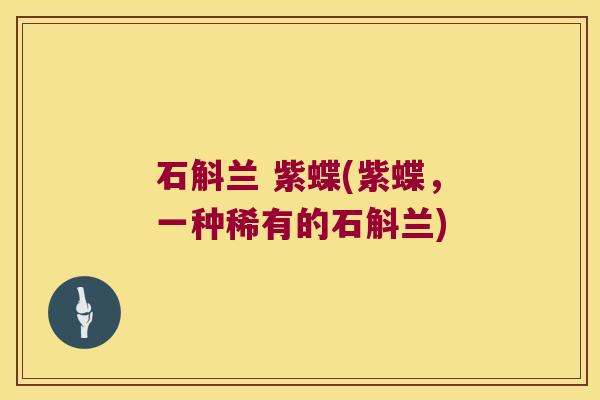 石斛兰 紫蝶(紫蝶，一种稀有的石斛兰)