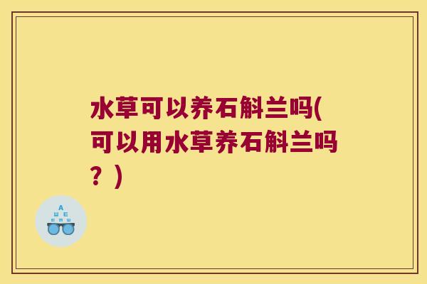 水草可以养石斛兰吗(可以用水草养石斛兰吗？)