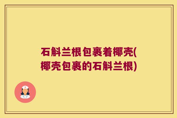 石斛兰根包裹着椰壳(椰壳包裹的石斛兰根)