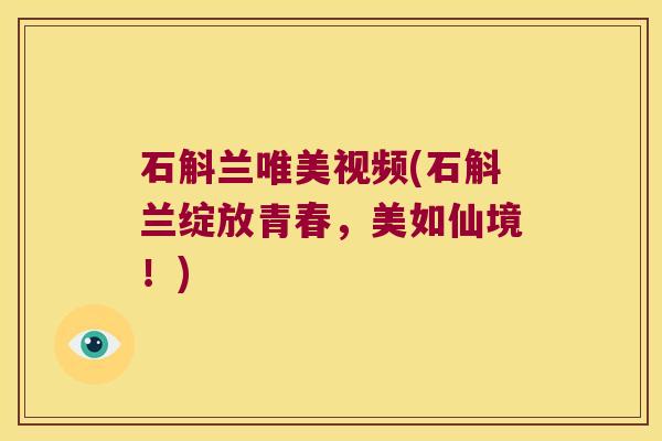 石斛兰唯美视频(石斛兰绽放青春，美如仙境！)
