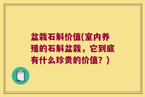 盆栽石斛价值(室内养殖的石斛盆栽，它到底有什么珍贵的价值？)