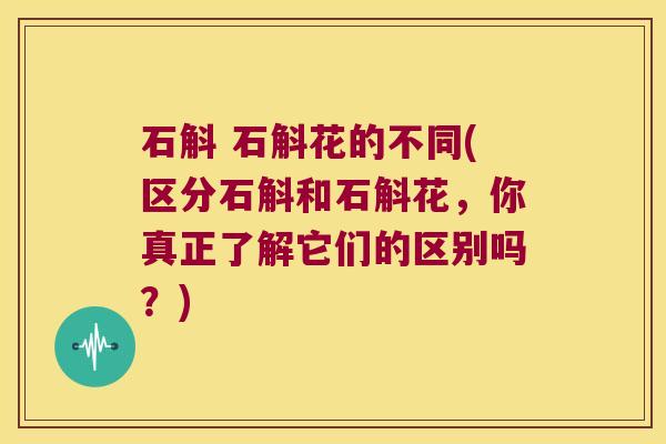 石斛 石斛花的不同(区分石斛和石斛花，你真正了解它们的区别吗？)