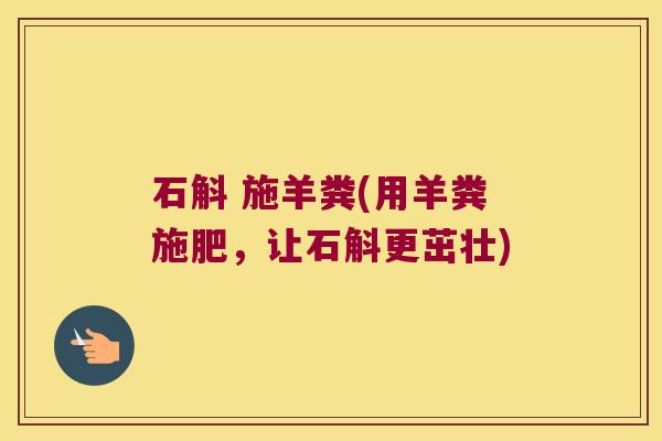 石斛 施羊粪(用羊粪施肥，让石斛更茁壮)