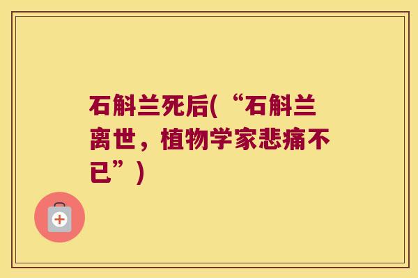 石斛兰死后(“石斛兰离世，植物学家悲痛不已”)